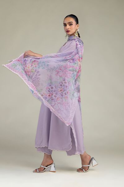 Embroidered Raw Silk Silk Solid Pants
