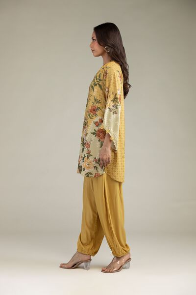Printed Viscose Solid Viscose Pants