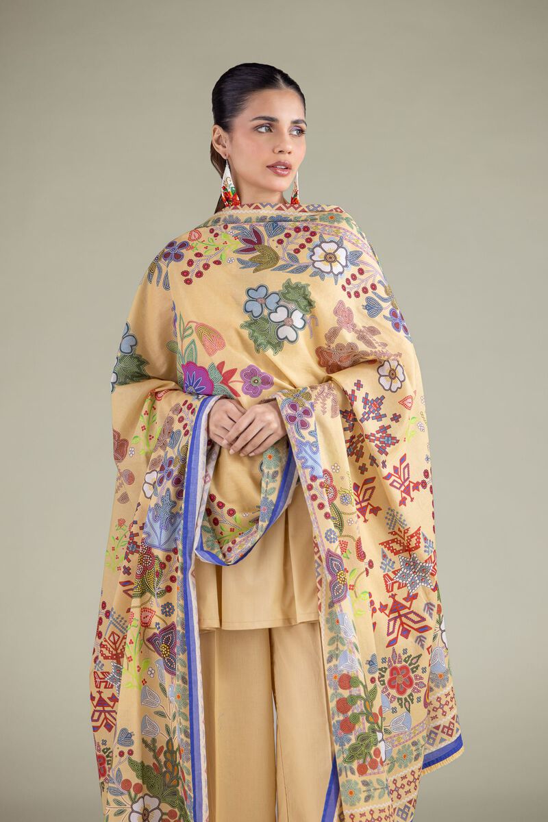 Geometric Threadwork Dupatta