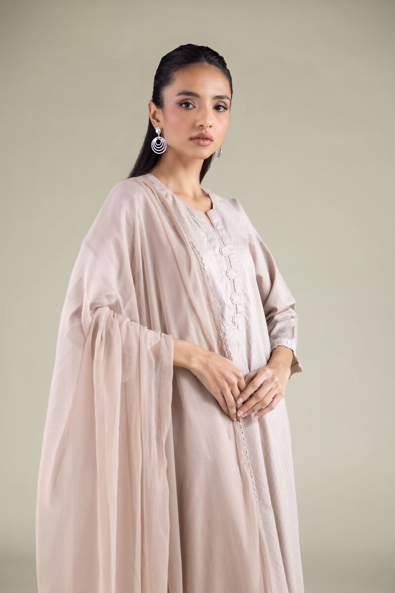Draped Lace Dupatta