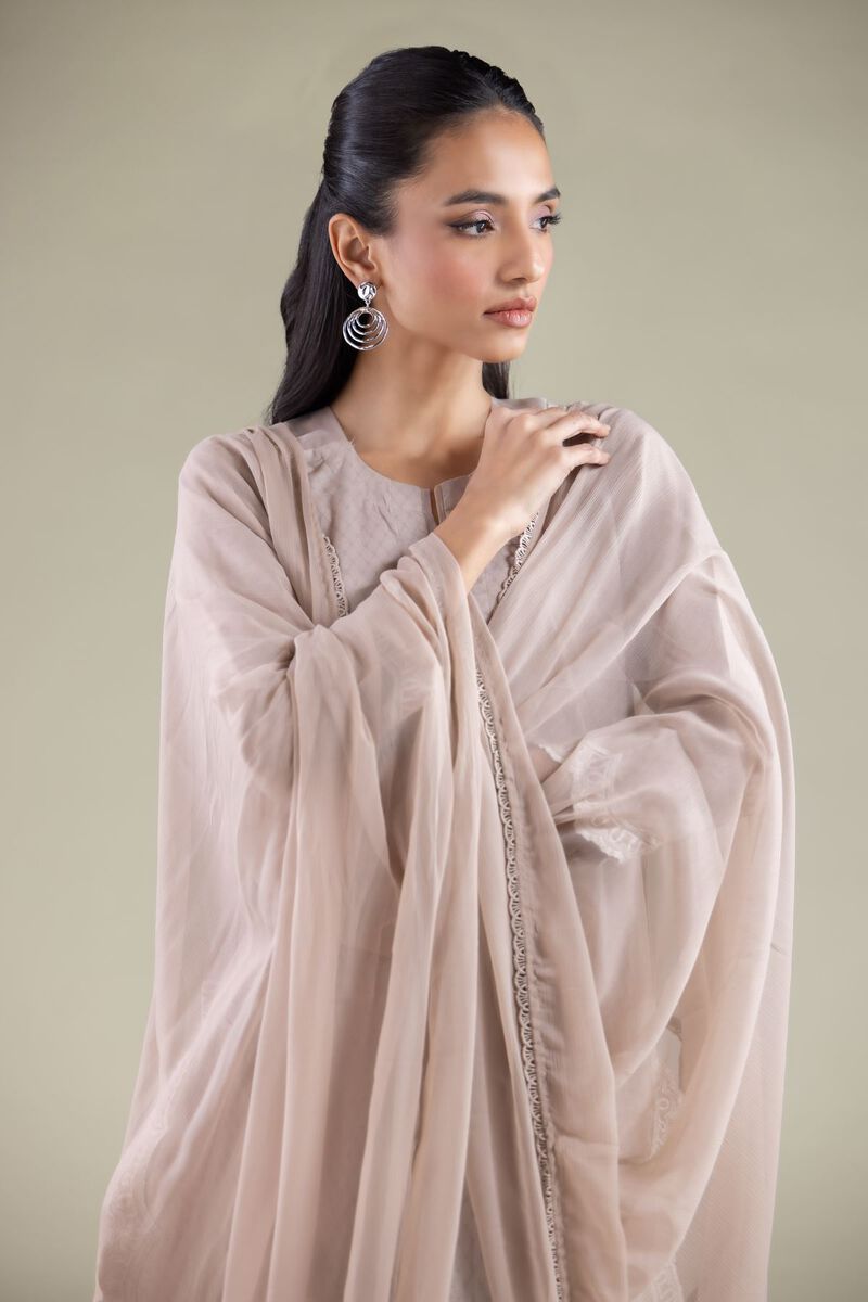 Draped Lace Dupatta