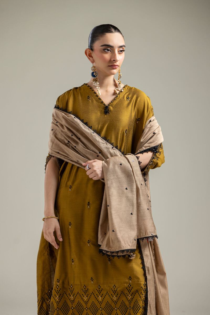 Beige Net Dupatta