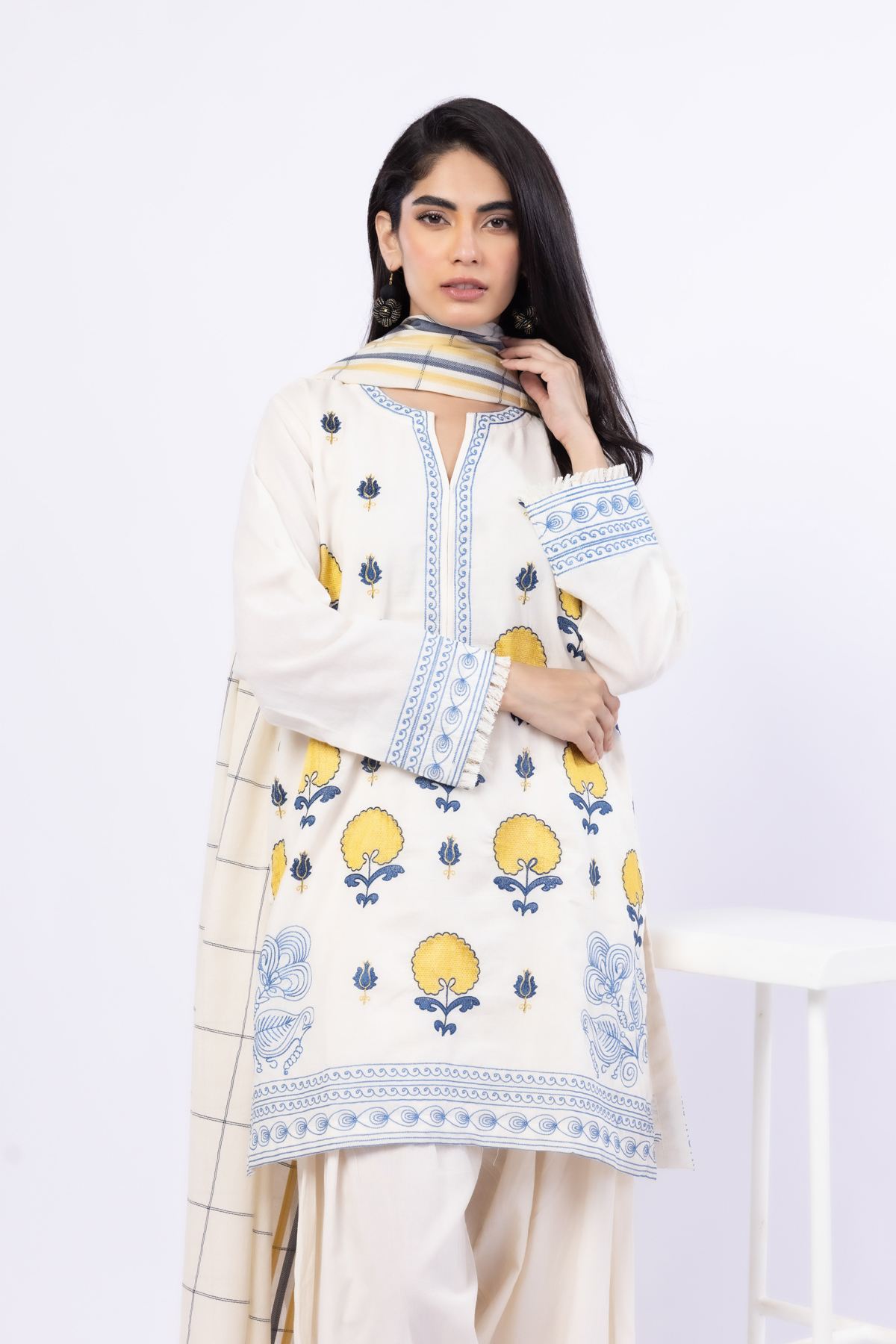Embroidered Handwoven Cotton Kurta - OTD4-EX24-08BA-VG