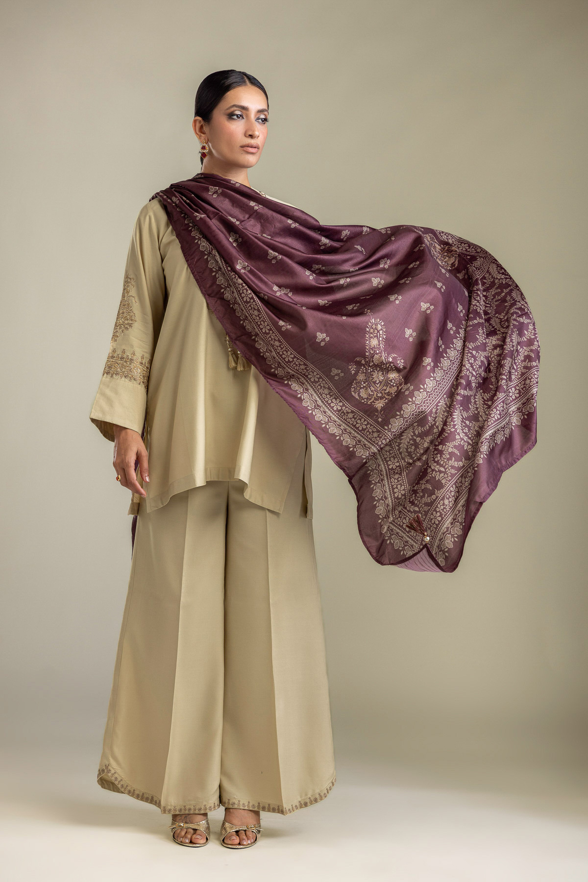 Embroidered Raw Silk Solid Beige Pants - 2-26-403-A-B1-VG