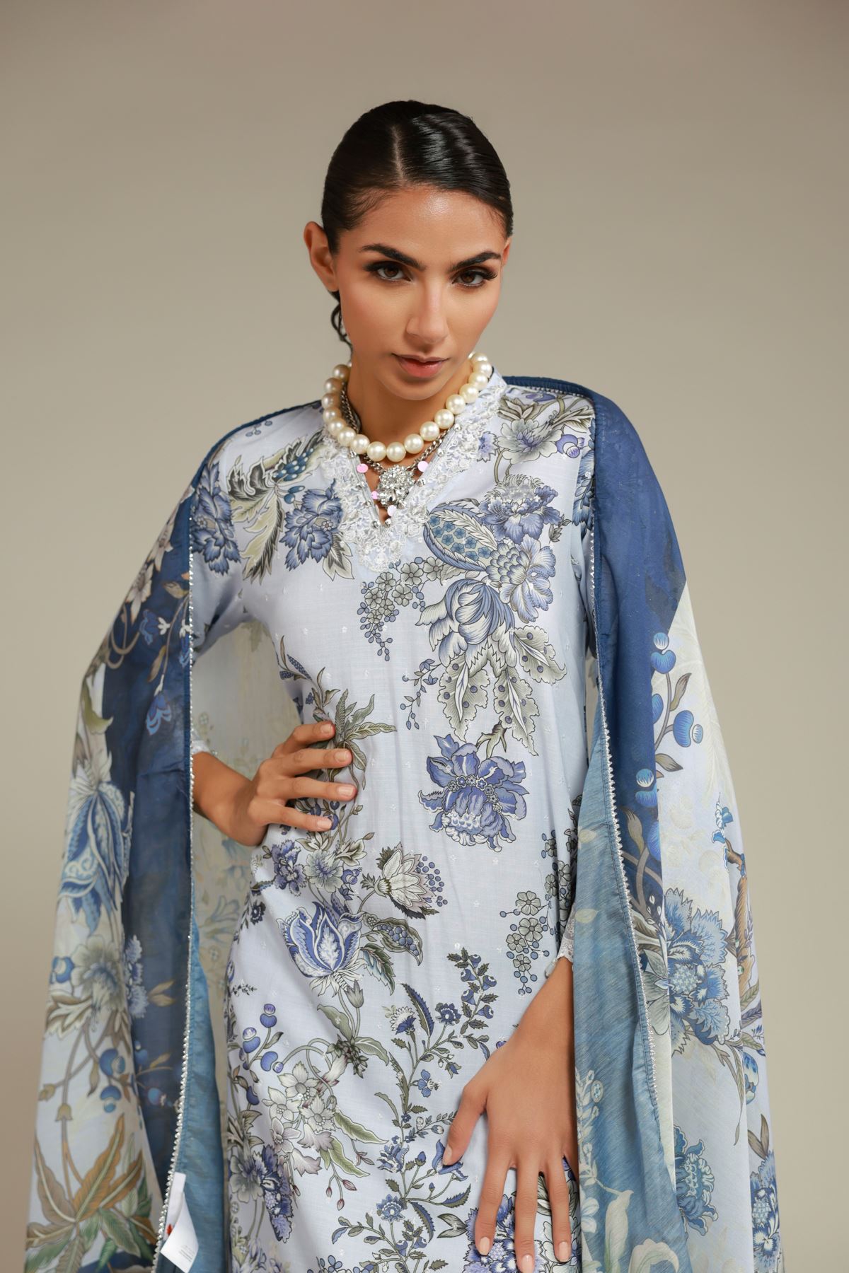 Printed Mesuri Dupatta - 25-12-12S4-09TA-VG